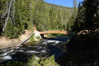 DSC_9888 (Large).JPG